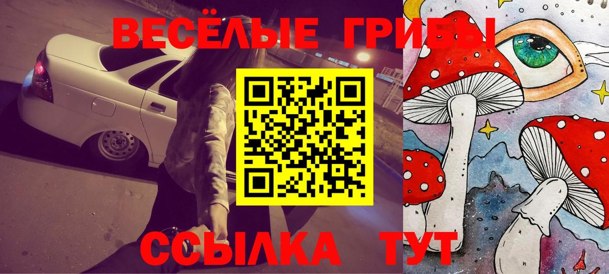 Псилоцибиновые грибы Psilocybe Волгоград