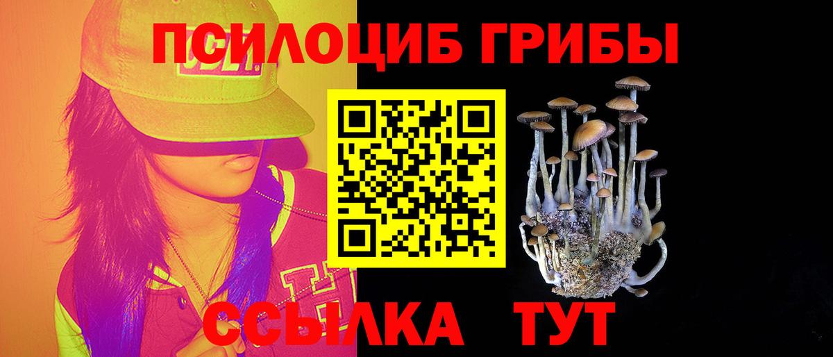 Галлюциногенные грибы Cubensis  Вход с VPN  Волгоград  Галлюциногенные грибы Psilocybe 